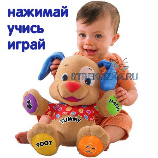 Одежда Фишер Прайс Интернет Магазин